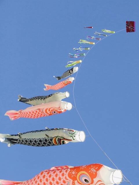 The inaugural Gracetown Kite Festival will be held on Sunday November 29 at 2pm on Gracetown oval.