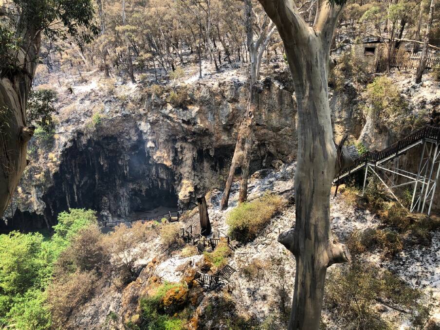 Future plans: The iconic Lake Cave staircase was lost in last week's fire, which tore through 7,800 hectares of forest. Photo: Supplied