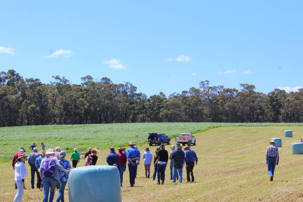 Walks & talks: The Lower Blackwood Landcare District Committee will host the 2020 Spring Field Day on Thursday October 1. Photo: Supplied.