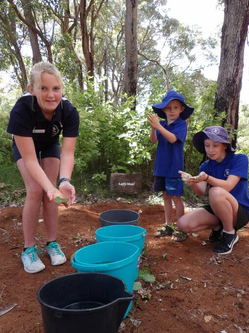 Karridale Primary launches indigenous plant trail | Photos