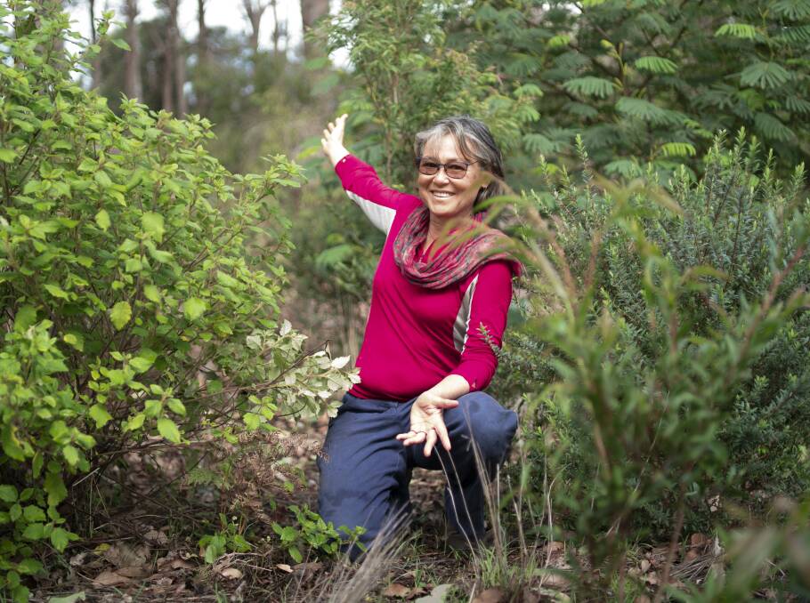 Under control: Dr Ann Ward in the area where arum lilies have been controlled and revegetation is being undertaken. Photo: Taelor Pelusey