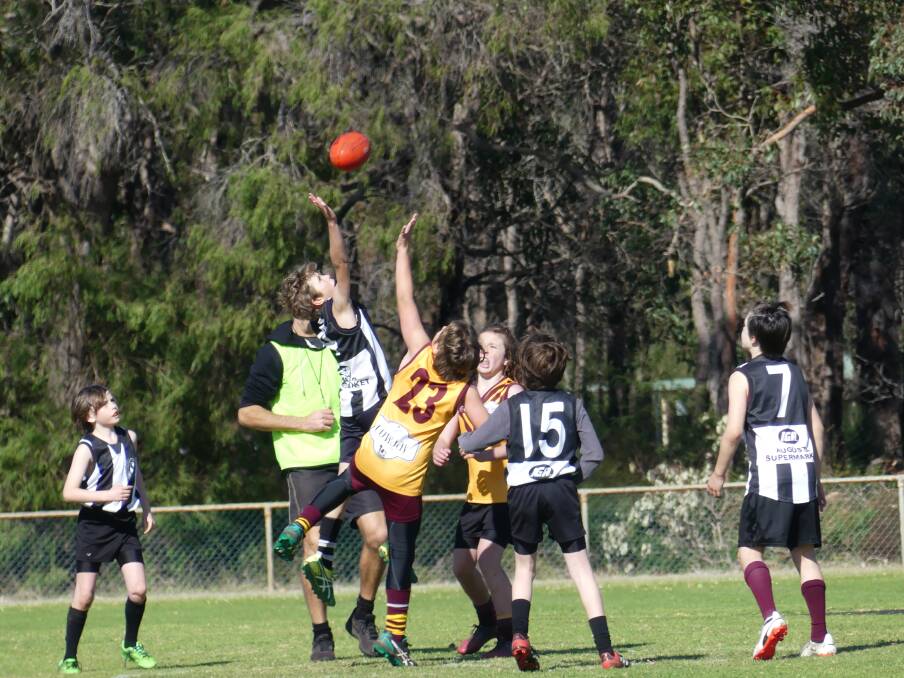 Hamish Murray goes up in the ruck for Bulls Gold U11s against Augusta Magpies on Saturday.