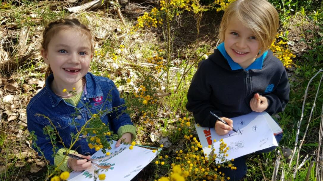 Margaret River Independent School students Anjele Harlow and Levin Diethelm get some wattle inspiration on campus. 