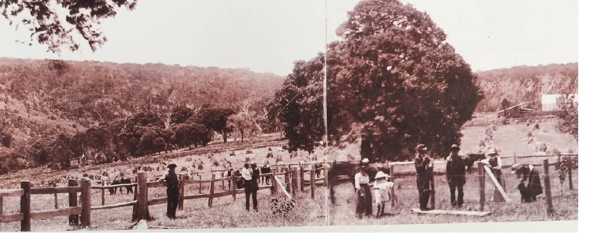 Photo taken in 1915 at Sam Isaacs’ property, Fernbrook. Courtesy Margaret River & Districts Historical Society.