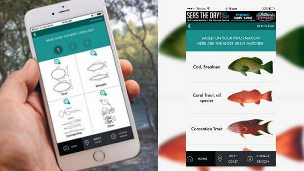 Not just at home: The app can be used offline and out of mobile range. Photo: Recfishwest