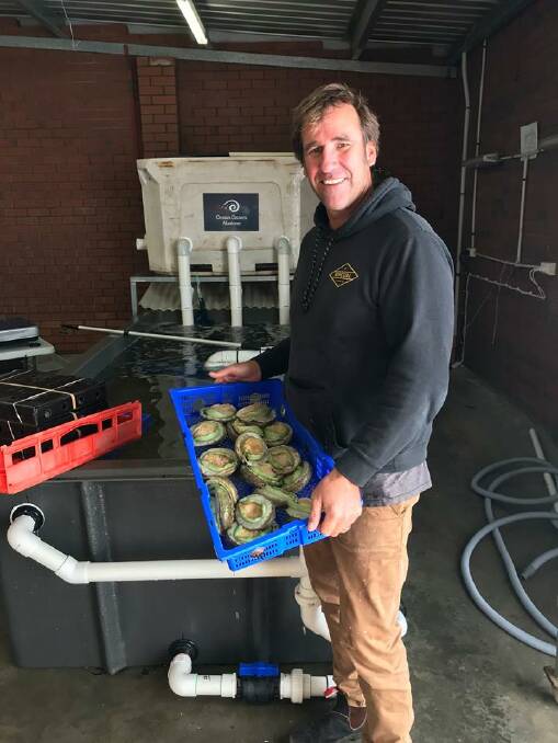 Ocean Grown Abalone's Brad Adams was named the 2018 Business Person of the Year. 
