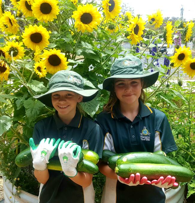Veggie volumes: Year 4/5 Margaret River Primary School Kitchen Garden students with some of the garden's zucchini bounty. Photo: Supplied