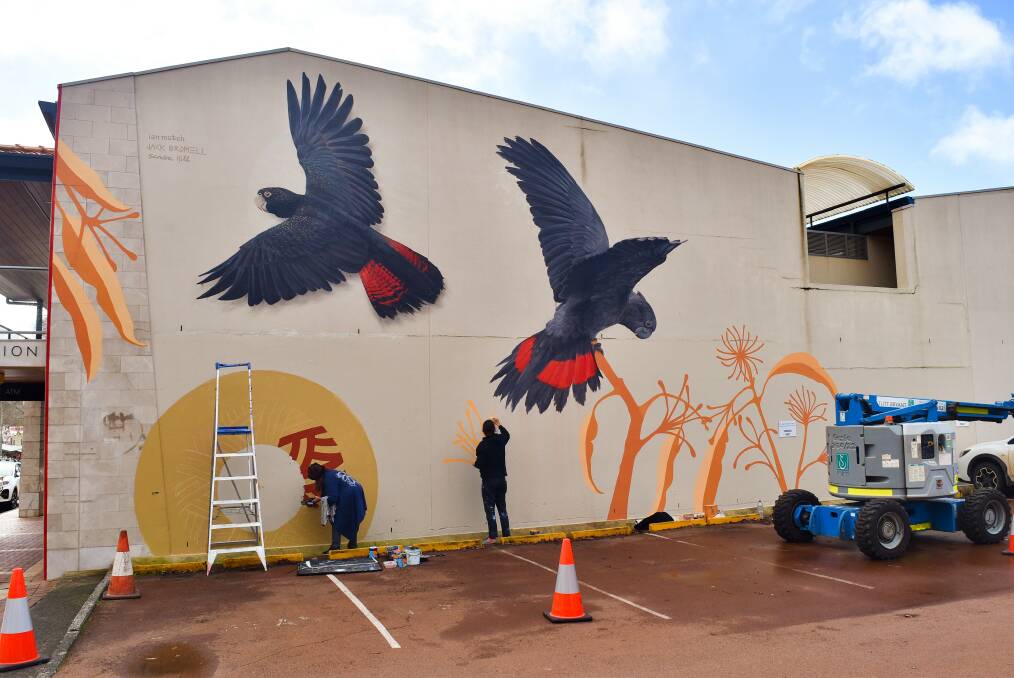 The mural features the iconic South West Red-tailed Black Cockatoos, as well as Marri branches.