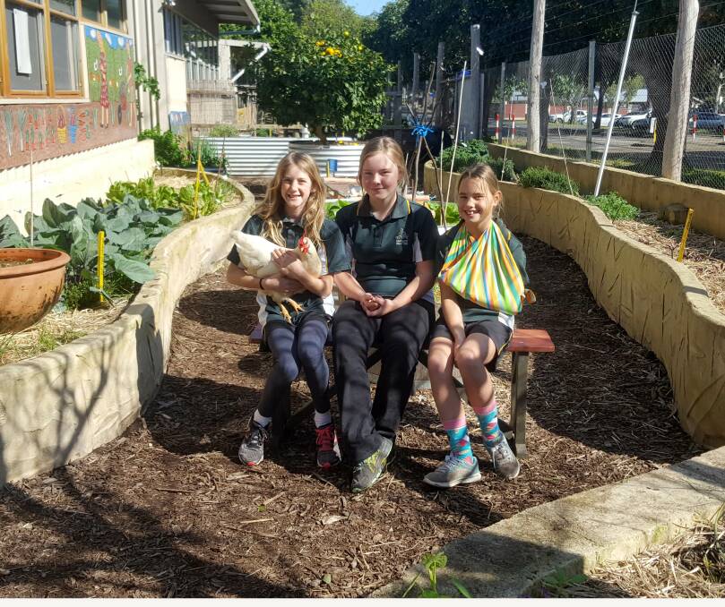 Big help: The new bench seats at the Margaret River PS Kitchen Garden were custom-built and delivered by the Margaret River Men's Shed. Photo: Supplied