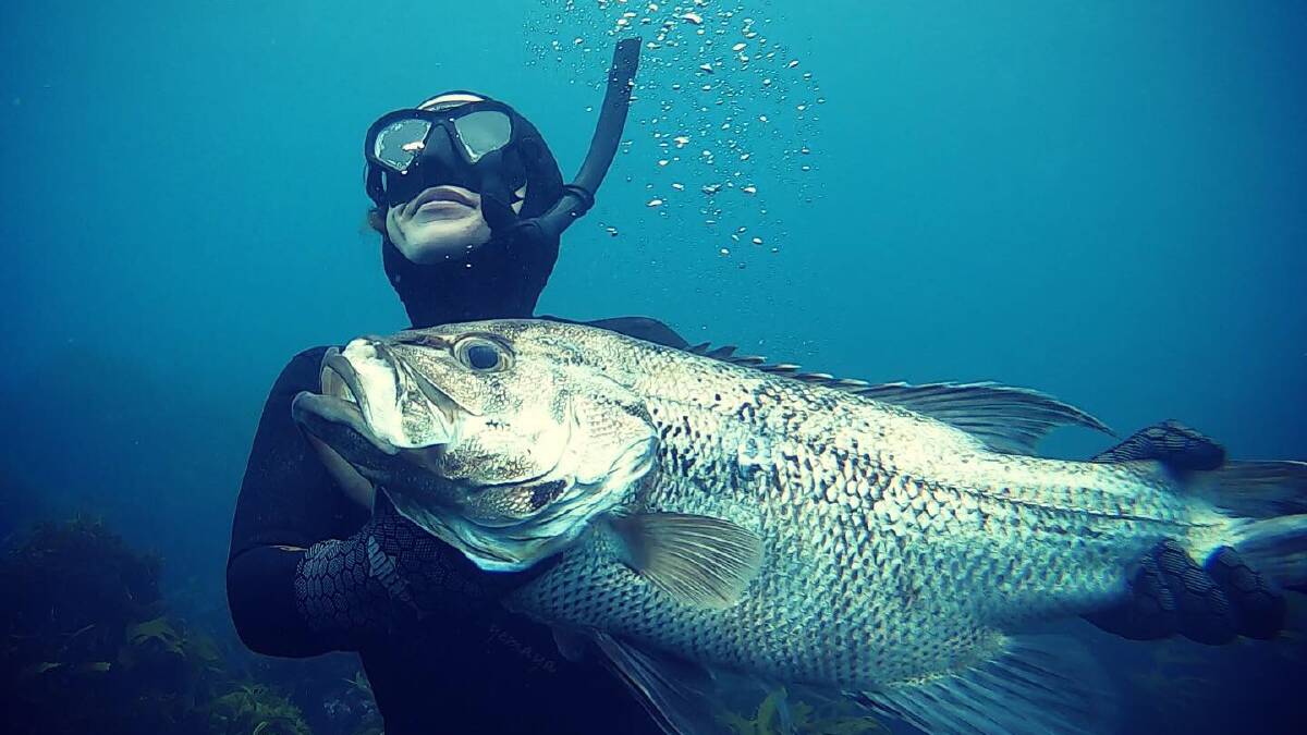 'Epic' month on the water | Fishing & Diving the Capes