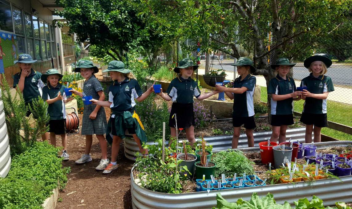Girls from Mr Murray's year 3/4 class busily preparing seedling pots ready for sale at the MRPS Kitchen Garden Clearance Sale and Open Day.