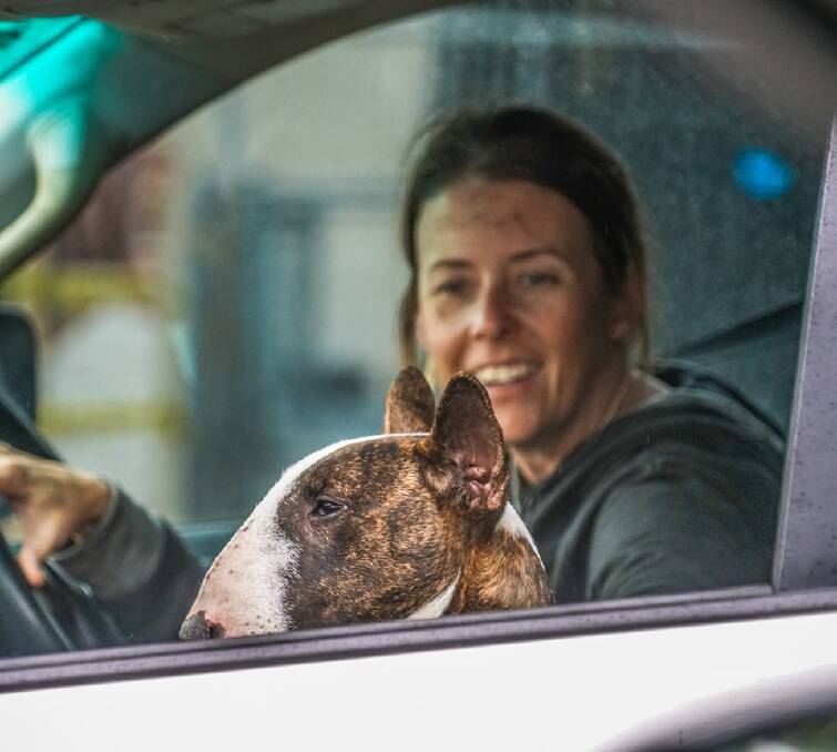 One found, one to go: Young Bull Terrier, Hella, with mum Donna McClelland after being found in the bush. Photo: Sean Blocksidge