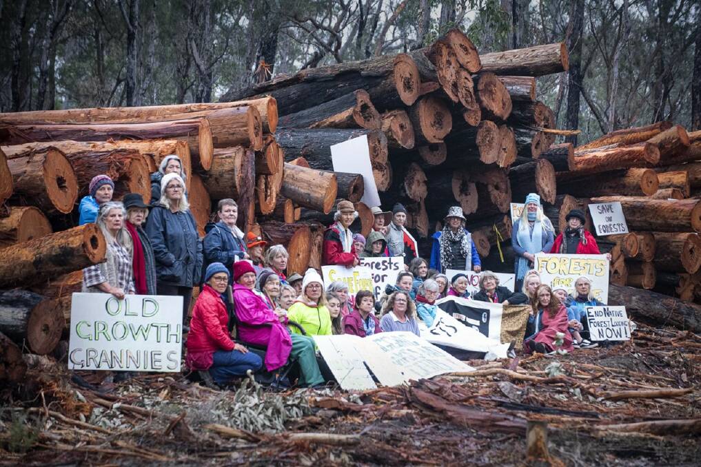 The Nannas for Native Forests moved in overnight, blocked the roads off with their cars, lit small fires for warmth and set up a marquee decorated by their colourful handmade banners.