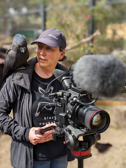 Director/Producer Jane Hammond's film, Black Cockatoo Crisis, highlights the plight of black cockatoos in the South West of WA. Pictures supplied. 