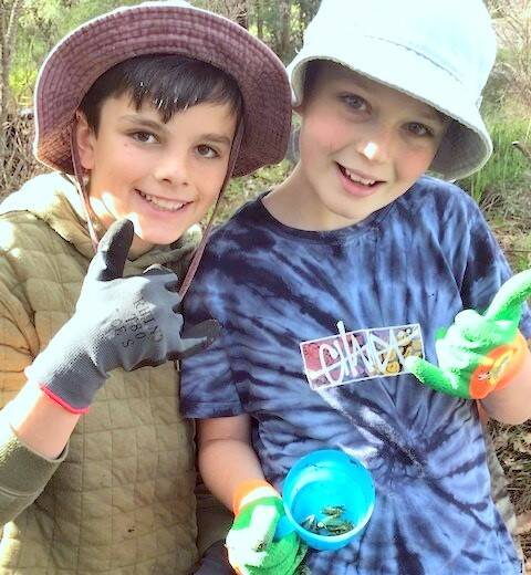 Frog Warriors: Gabriel Gant and Louis Gordon with a frog from the pitfall traps. Picture: Supplied