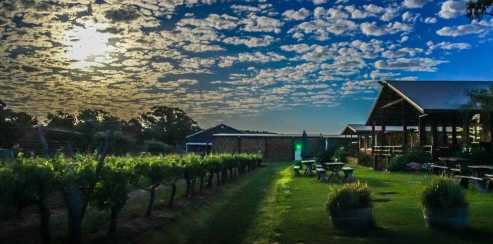 Super stunning: Cullen vineyard under the November 2016 Supermoon. Photo: Margaret River Discovery Co