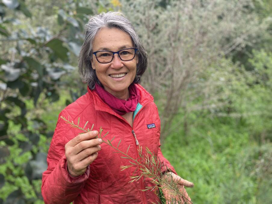 The Revegetating Your Property workshop includes a walking tour of Nature Conservation Margaret River Region chair Dr Ann Ward's property on the banks of the Margaret River. Picture: Supplied
