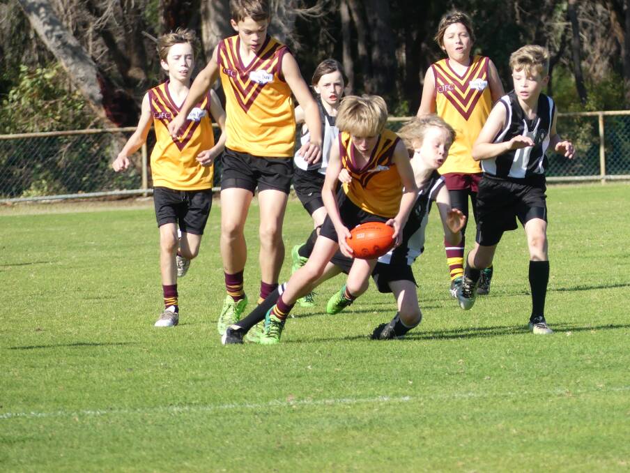 Jake Miller is under all sorts of pressure from this Magpies opponent during the U11s clash at Augusta on Saturday. Photo: Supplied