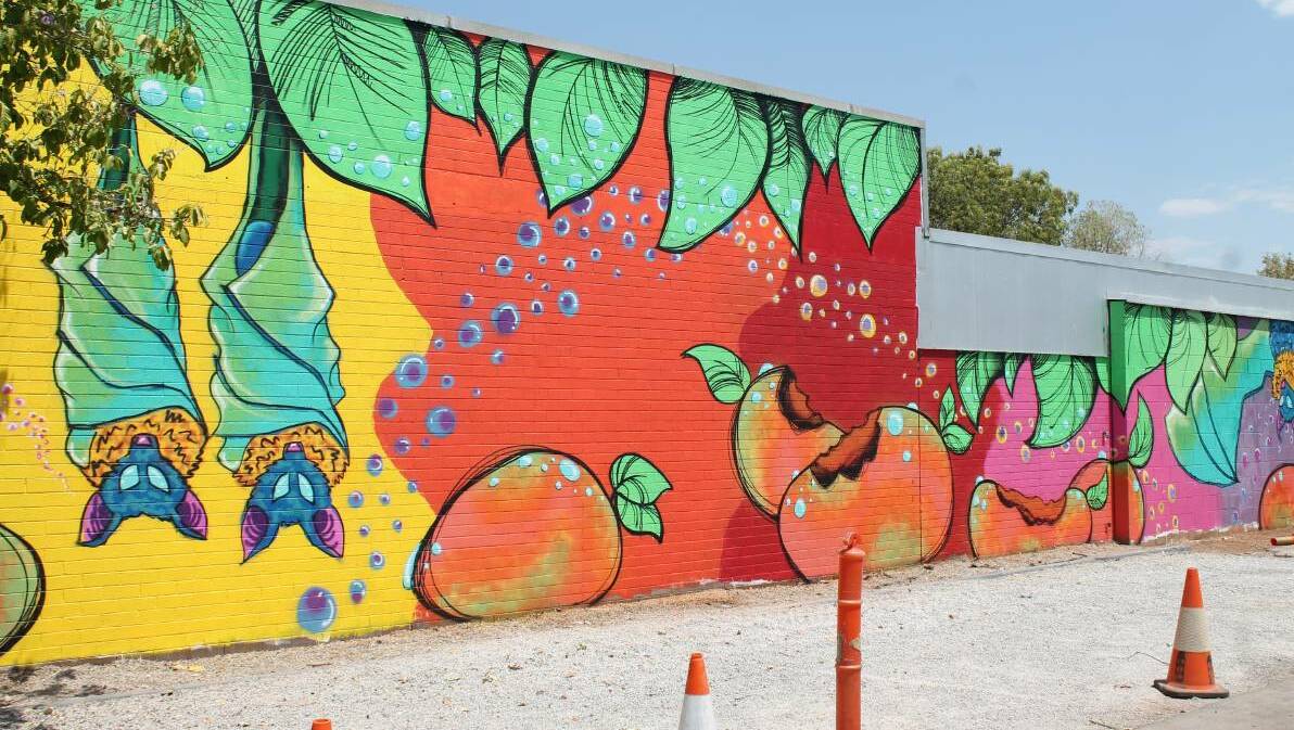 PUBLIC ART: This mural by 17-year-old Katherine High School student Chloe Forscutt is the latest addition to the town's rapidly changing walls. Photo: BROOKLYN FITZGERALD