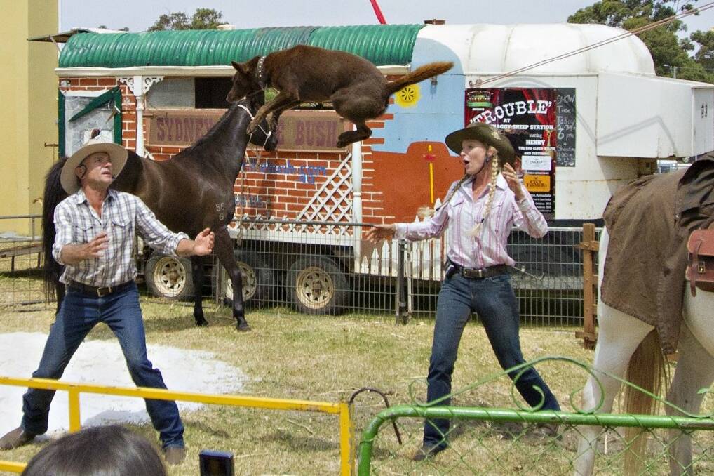 DOGS MIGHT FLY: The Sydney or the Bush Roadshow is expected to draw the crowds at the Margaret River Show.