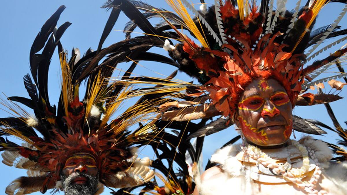 Waghi man and woman wearing elaborate plumed headdresses at a sing sing. The Birds of Paradise exhibition will be showing at the Melbourne Museum from November 23. Photo: Yvonne Carrillo-Huffman/Australian Museum 